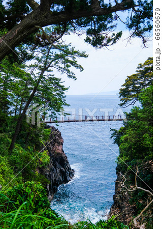 静岡県伊東市城ヶ崎海岸の門脇吊橋【６月】 66560679