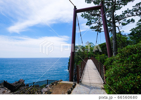 静岡県伊東市城ヶ崎海岸の門脇吊橋【６月】 66560680