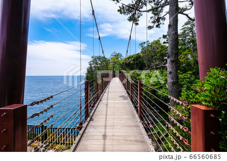 静岡県伊東市城ヶ崎海岸の門脇吊橋【６月】 66560685