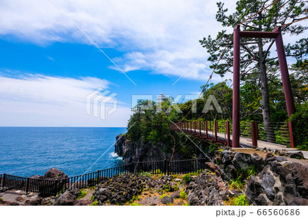 静岡県伊東市城ヶ崎海岸の門脇吊橋【６月】 66560686