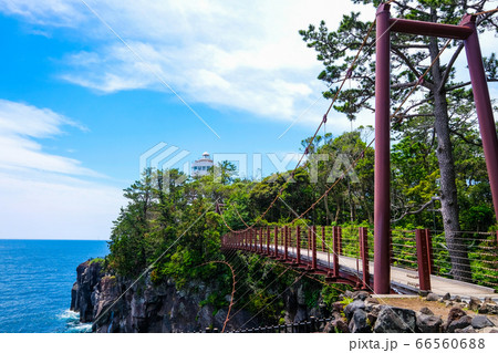 静岡県伊東市城ヶ崎海岸の門脇吊橋 ６月 の写真素材