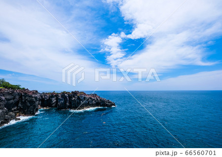 静岡県伊東市城ヶ崎海岸【６月】 66560701