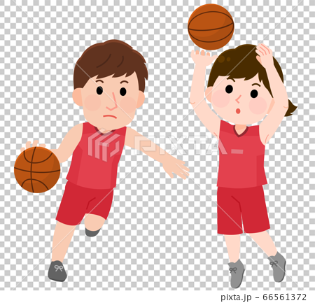 バスケットボールをする 男性 女性 イラストのイラスト素材