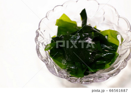 昆布 66561687