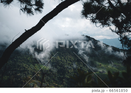 Mountains and green trees in the rainy day 66561850