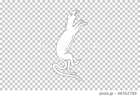 88白色星座無星座線 66562789