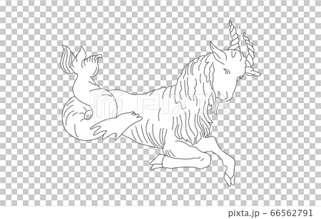 88星座線なし白やぎ座 66562791