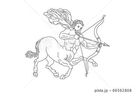 88星座線なし白いて座 66562808