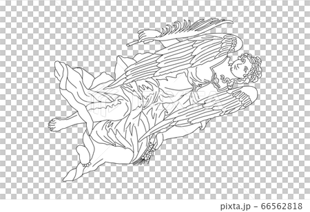 88星座線なし白おとめ座 66562818