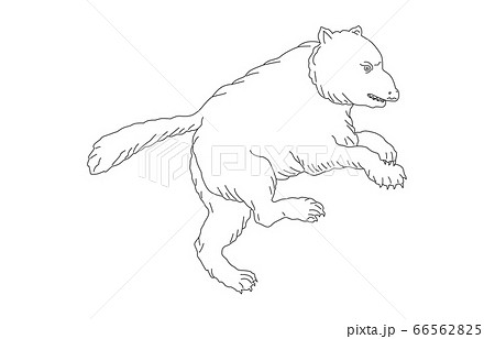 88星座線なし白おおぐま座 88星座線なし白おおぐま座 66562825