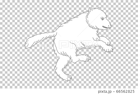 88星座線なし白おおぐま座 88星座線なし白おおぐま座 66562825