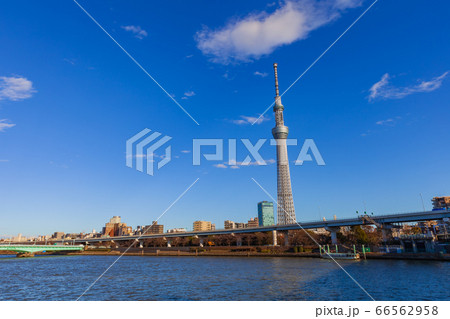 浅草から望む隅田川と東京スカイツリー 66562958