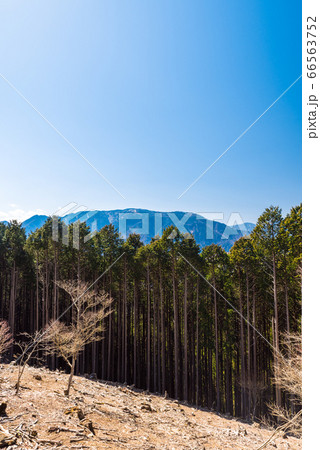 身延山山頂、七面山展望台から眺める七面山(山梨県南巨摩郡身延町) 身延山山頂、七面山展望台から眺める七面山(山梨県南巨摩郡身延町) 66563752