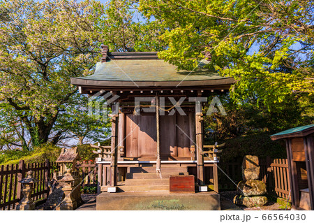 【静岡県】伊豆の国市・葛城山・春の葛城神社 66564030