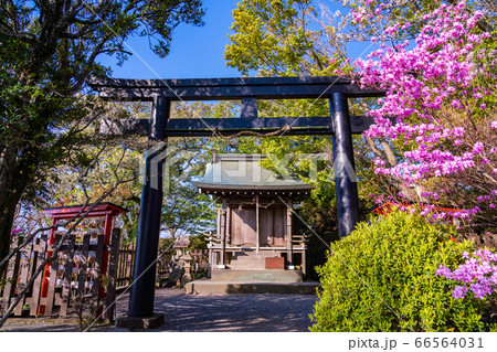 【静岡県】伊豆の国市・葛城山・春の葛城神社 66564031