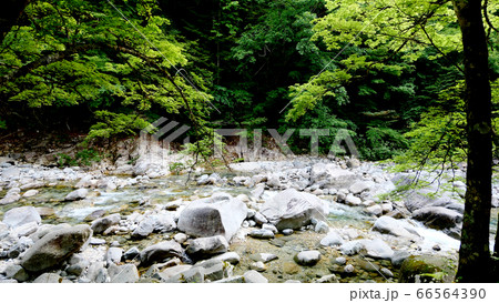 阿寺渓谷の渓流 66564390