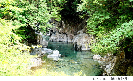 阿寺渓谷の渓流 阿寺渓谷の渓流 66564392