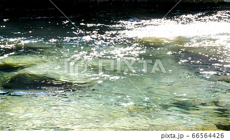 阿寺渓谷の渓流 66564426