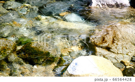 阿寺渓谷の渓流 66564428