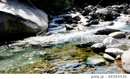 阿寺渓谷の渓流 66564430