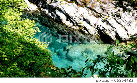 阿寺渓谷の渓流 66564432
