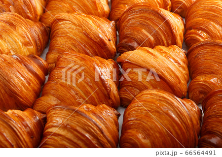 Seamless pattern of tasty french croissant Seamless pattern of tasty french croissant 66564491