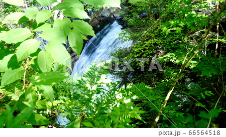 阿寺渓谷の渓流,樽ヶ沢の滝 阿寺渓谷の渓流,樽ヶ沢の滝 66564518