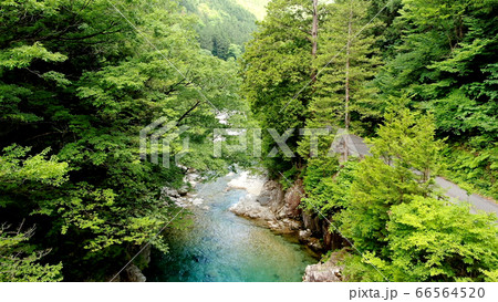 阿寺渓谷の渓流,牛ヶ淵 阿寺渓谷の渓流,牛ヶ淵 66564520