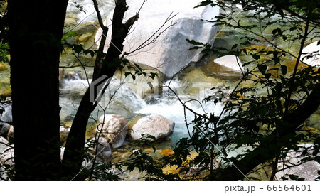 阿寺渓谷の渓流 66564601