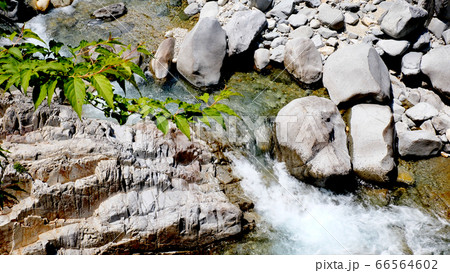 阿寺渓谷の渓流 66564602
