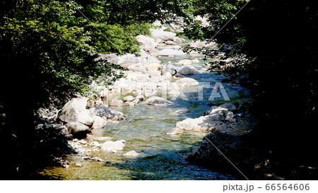 阿寺渓谷の渓流 66564606