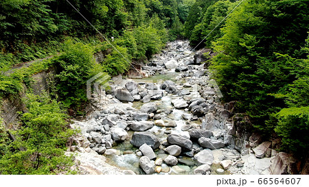 阿寺渓谷の渓流 66564607