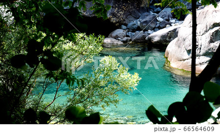 阿寺渓谷の渓流 66564609