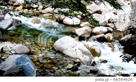 阿寺渓谷の渓流 阿寺渓谷の渓流 66564626