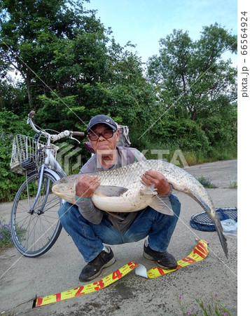 草魚:メーター以上:釣り人:本人:淀川:スマホ撮影 草魚:メーター以上:釣り人:本人:淀川:スマホ撮影 66564924