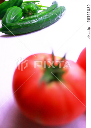 夏野菜シリーズ、新鮮なきゅうりとピーマン 夏野菜シリーズ、新鮮なきゅうりとピーマン 66565089