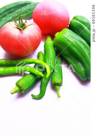 夏野菜シリーズ、栄養満点トマトと緑野菜 66565398