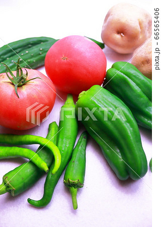 夏野菜シリーズ、栄養満点トマトと緑野菜 夏野菜シリーズ、栄養満点トマトと緑野菜 66565406