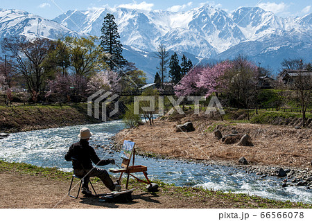 白馬三山春爛漫 66566078