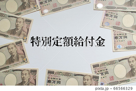 特別定額給付金 66566329