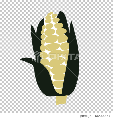corn 66566465