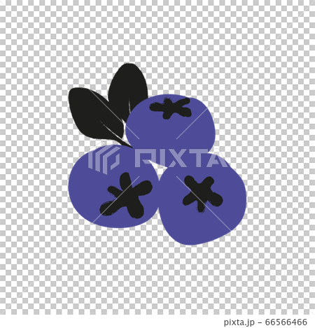 blueberry 66566466