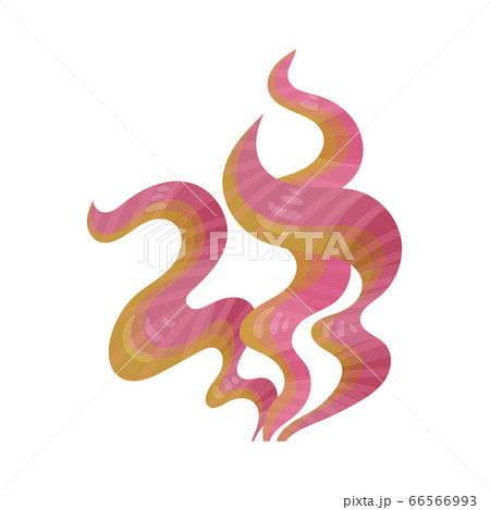 Multicellular Marine Algae Growing on Sea Bottom Vector Illustration 66566993