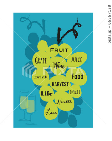 grape, wine 66567139