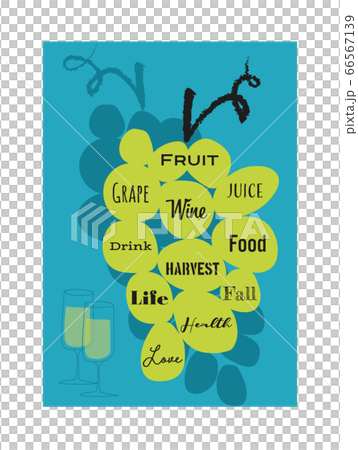 grape, wine 66567139