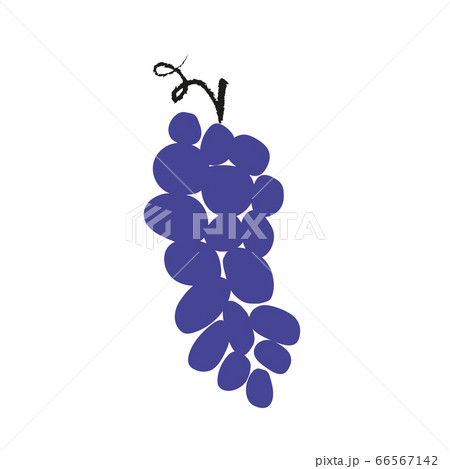 grape 66567142