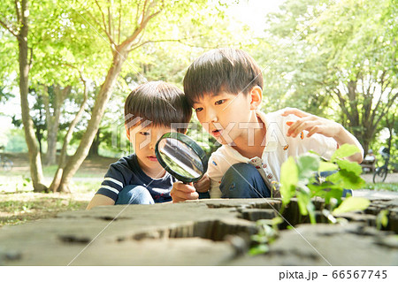 虫めがねを覗く男の子 虫めがねを覗く男の子 66567745