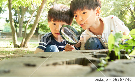 虫めがねを覗く男の子 66567746