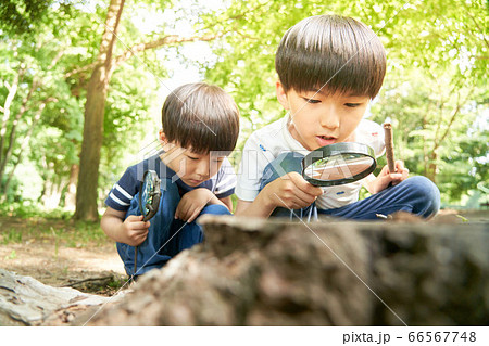 虫めがねを覗く男の子 虫めがねを覗く男の子 66567748