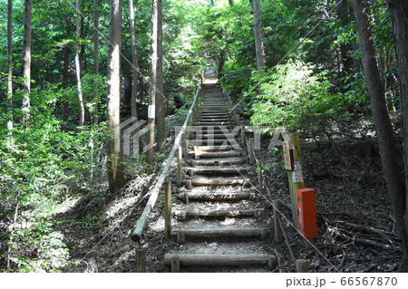 登山道 登山道 66567870